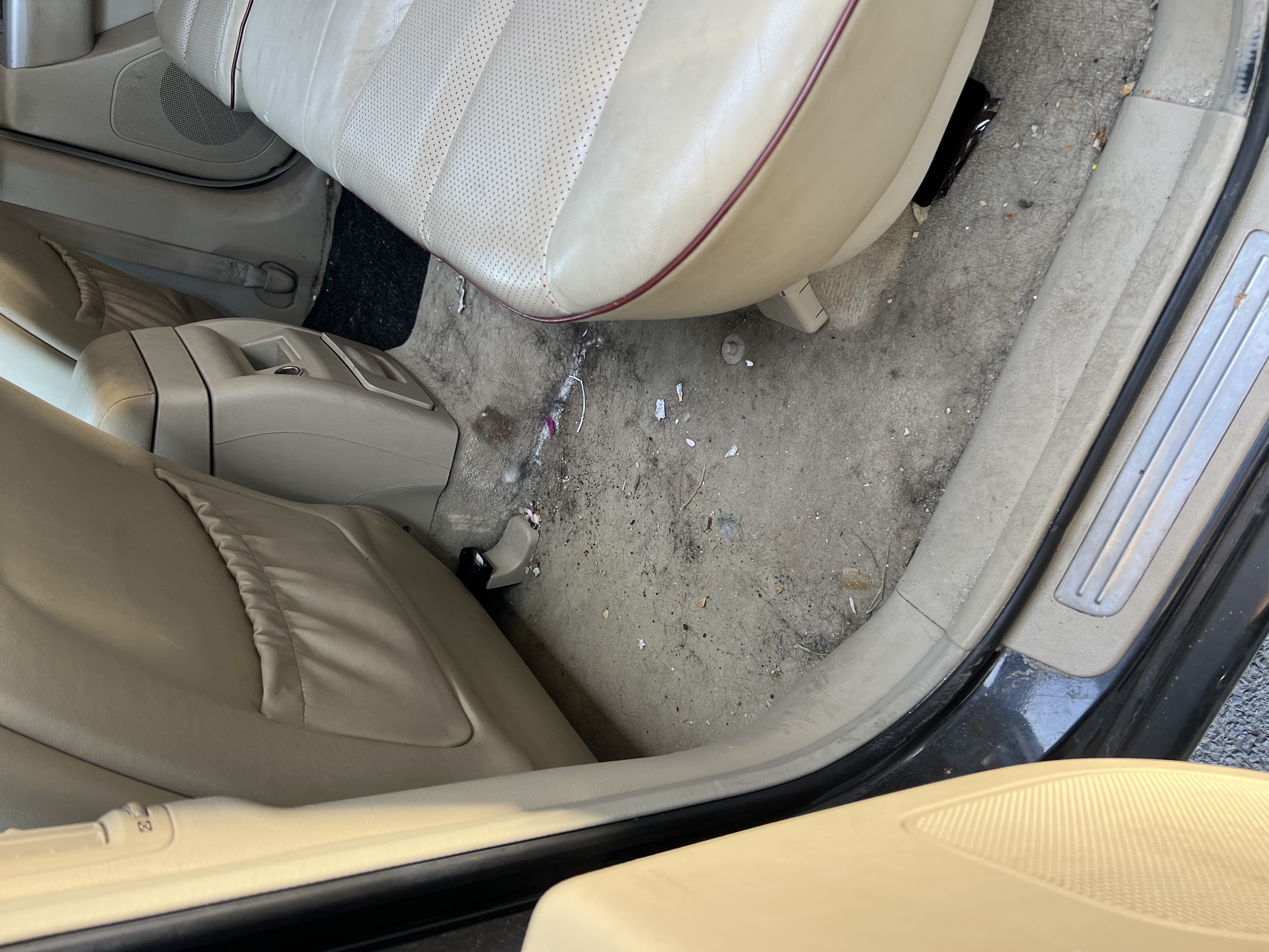 Entretien Cuir Avant